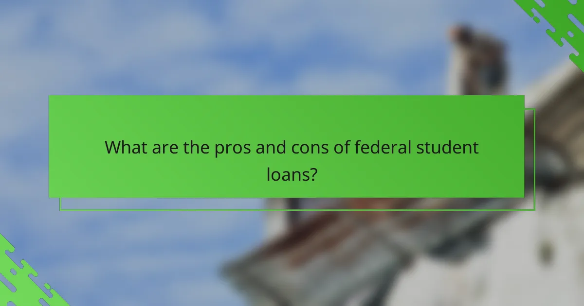 What are the pros and cons of federal student loans?