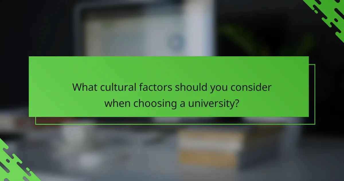 What cultural factors should you consider when choosing a university?